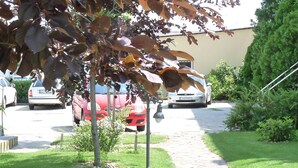 Un área de estacionamiento con coches, un sendero y un pequeño árbol.