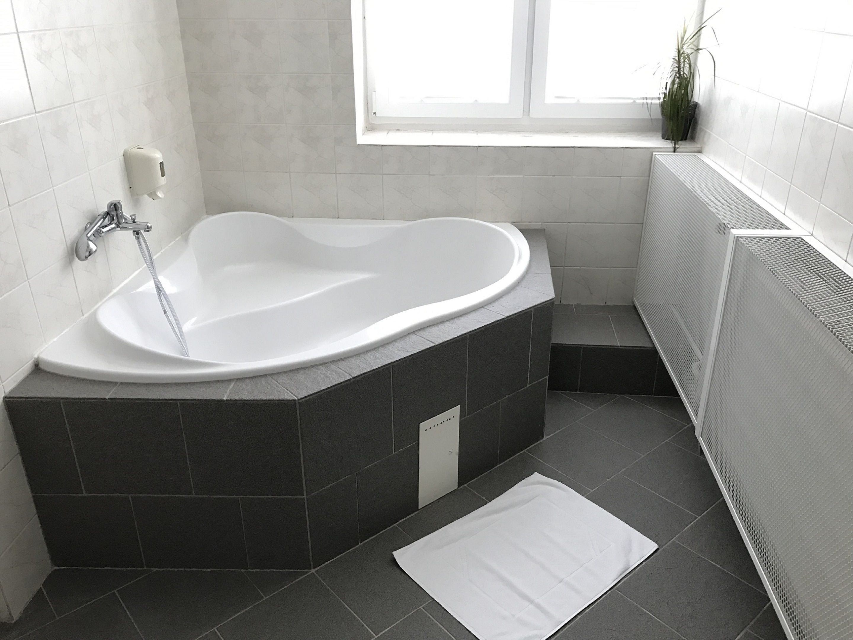 A modern bathroom with a freestanding bathtub, a hand soap dispenser, a window, and a radiator.