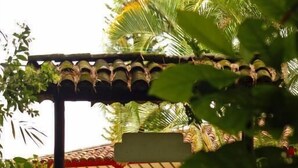 Un espace extérieur abrité, doté d’un toit en tuiles, entouré d’une végétation luxuriante et de palmiers.