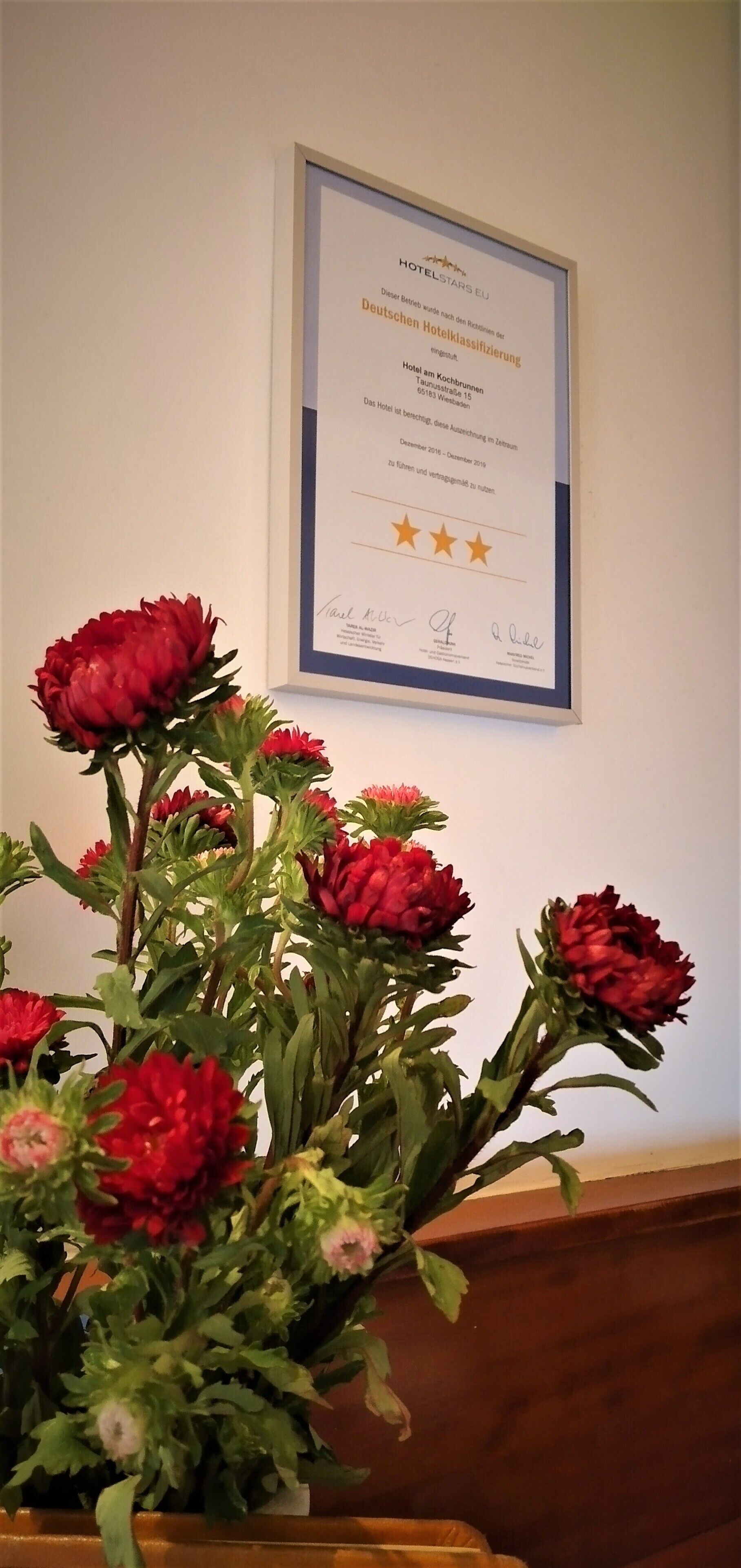 Photo - Hotel am Kochbrunnen