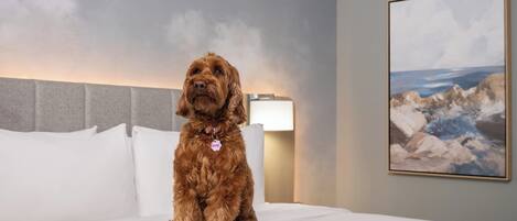 Un perro sentado en una cama en una habitación de hotel, con un cuadro en la pared y una lámpara junto a la cama.