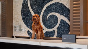 A reception desk at Hotel Indigo with a mosaic wall and a sign indicating 'IHG ONE REWARDS'. - Hotel Indigo Long Island - East End by IHG (Riverhead)