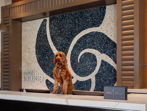 A reception desk at Hotel Indigo with a mosaic wall and a sign indicating 'IHG ONE REWARDS'. - Hotel Indigo Long Island - East End by IHG (Riverhead)
