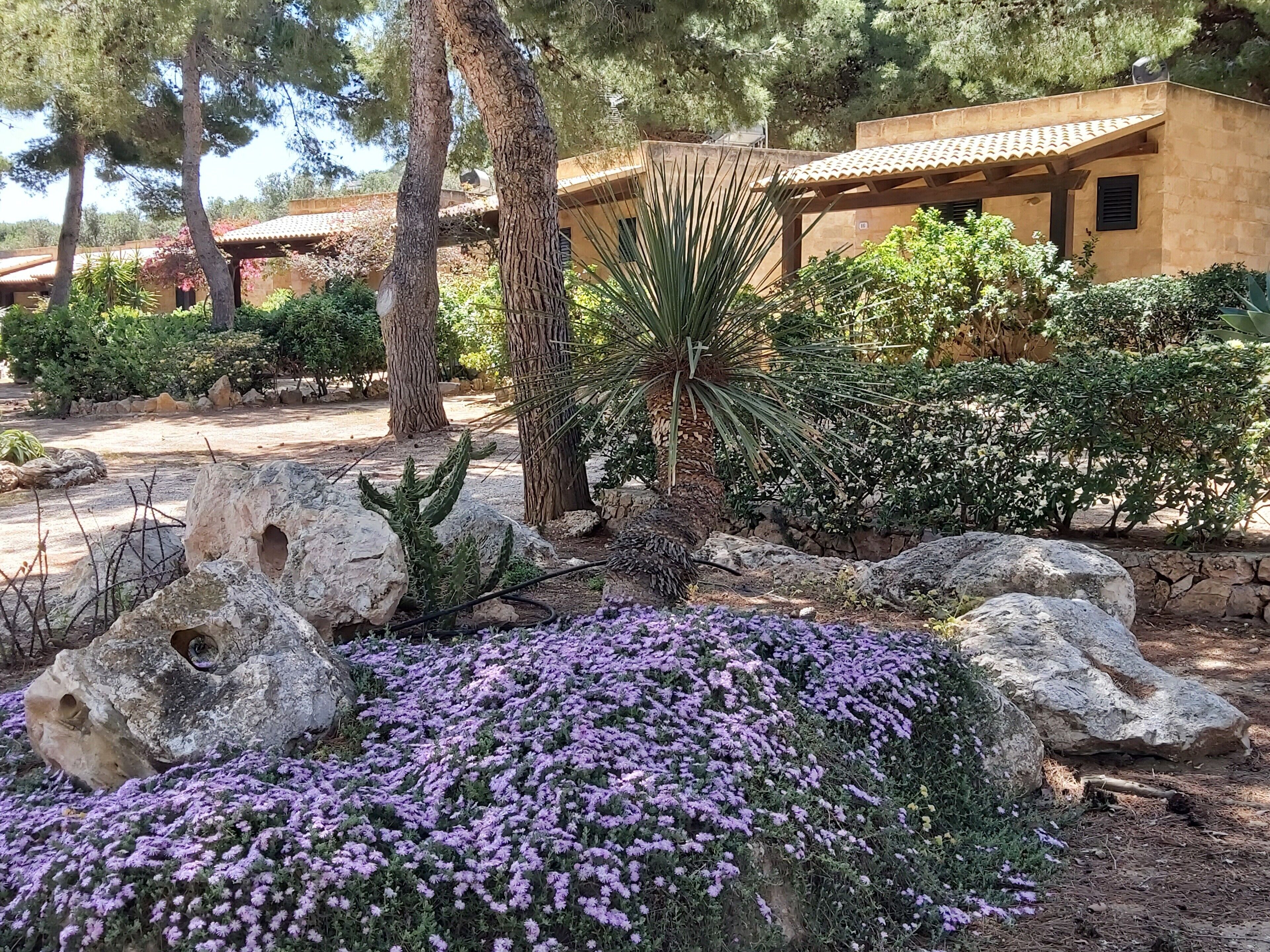A garden with large rocks, purple flowers, and a building with a tiled roof.