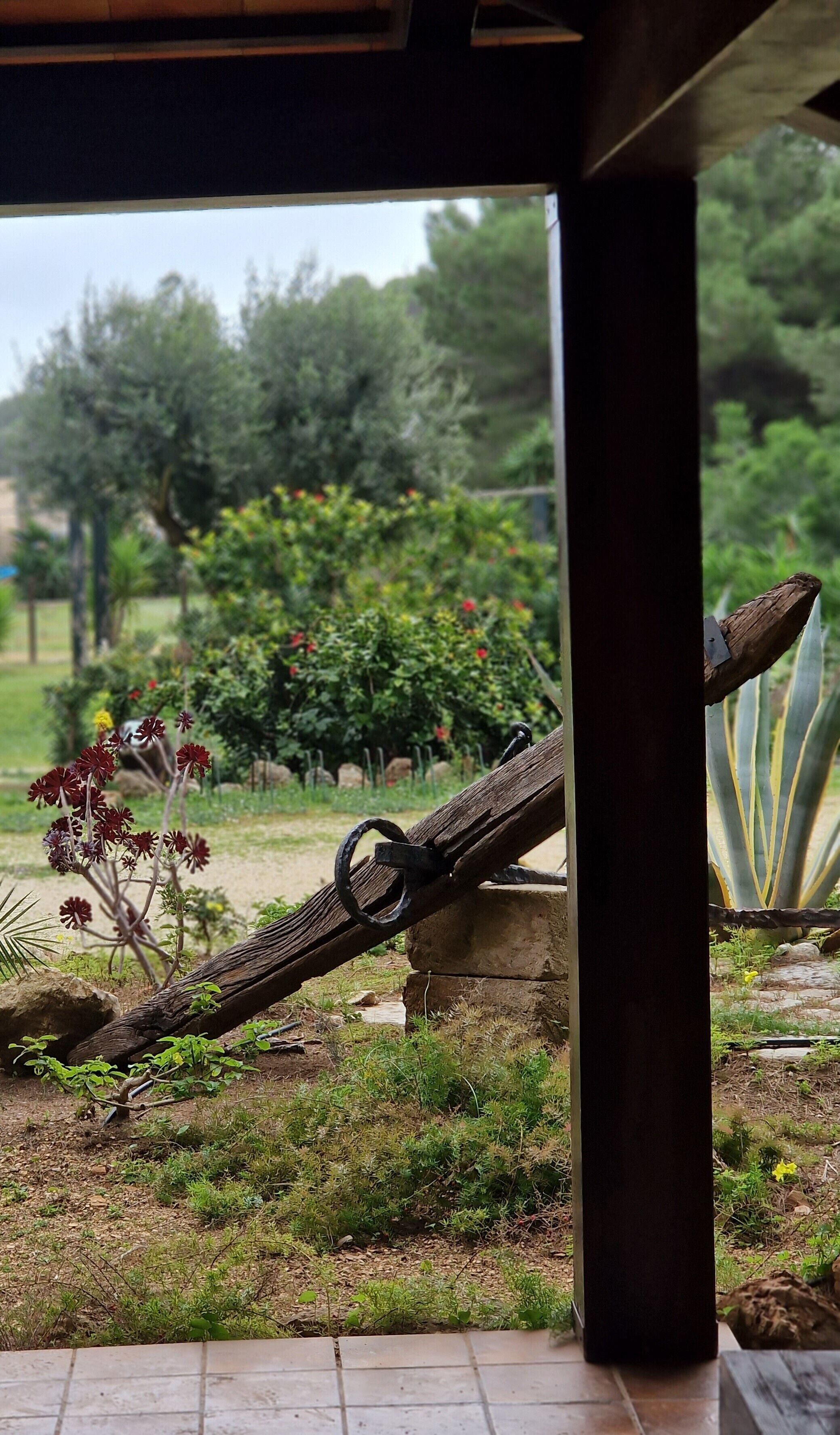 Une vue sur un jardin agrémenté d’une balançoire en bois, d’un banc en pierre et de diverses plantes.