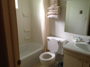 Combined shower/bathtub, hair dryer, towels, soap