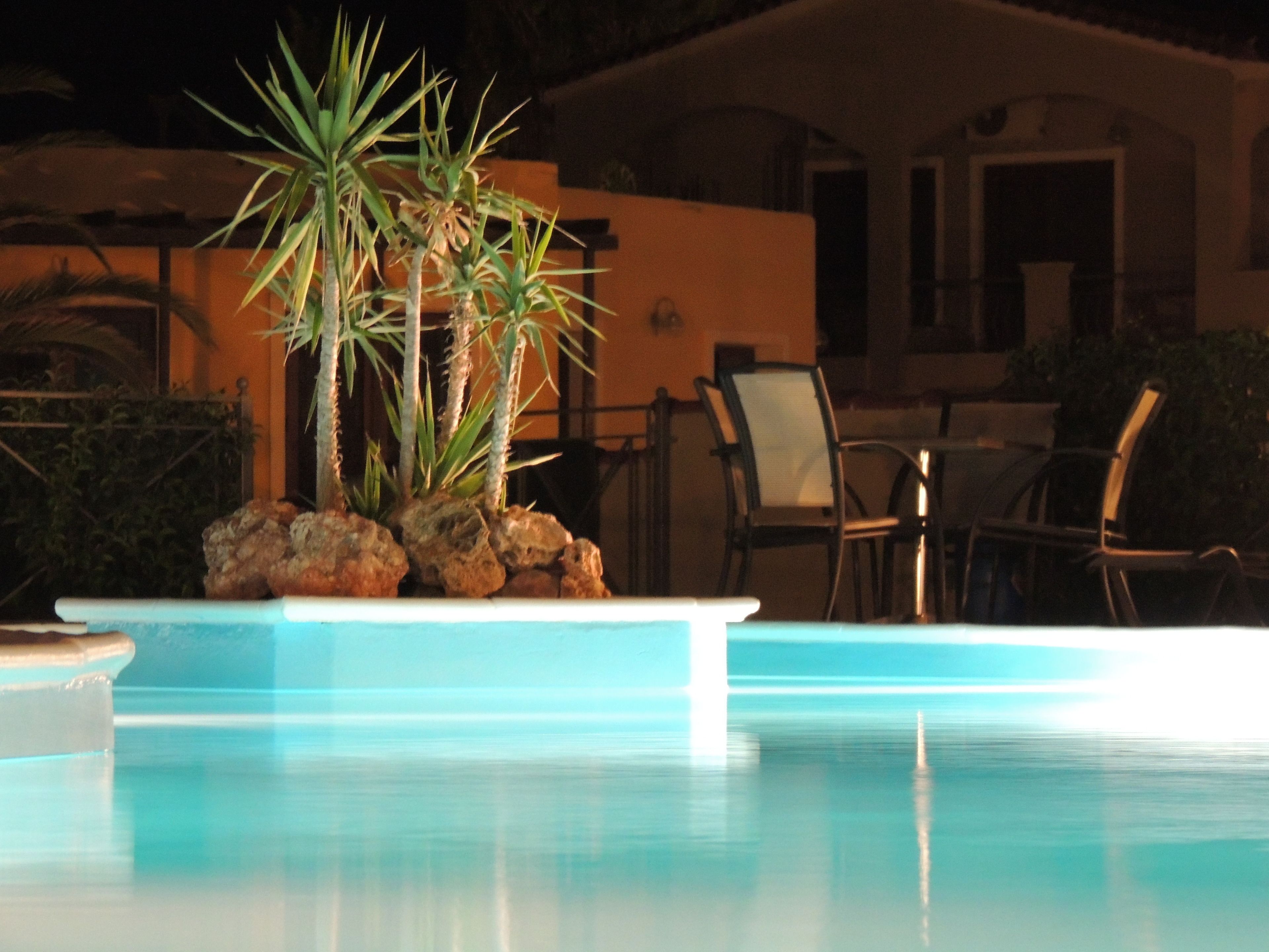 A pool with a small island of rocks and plants.