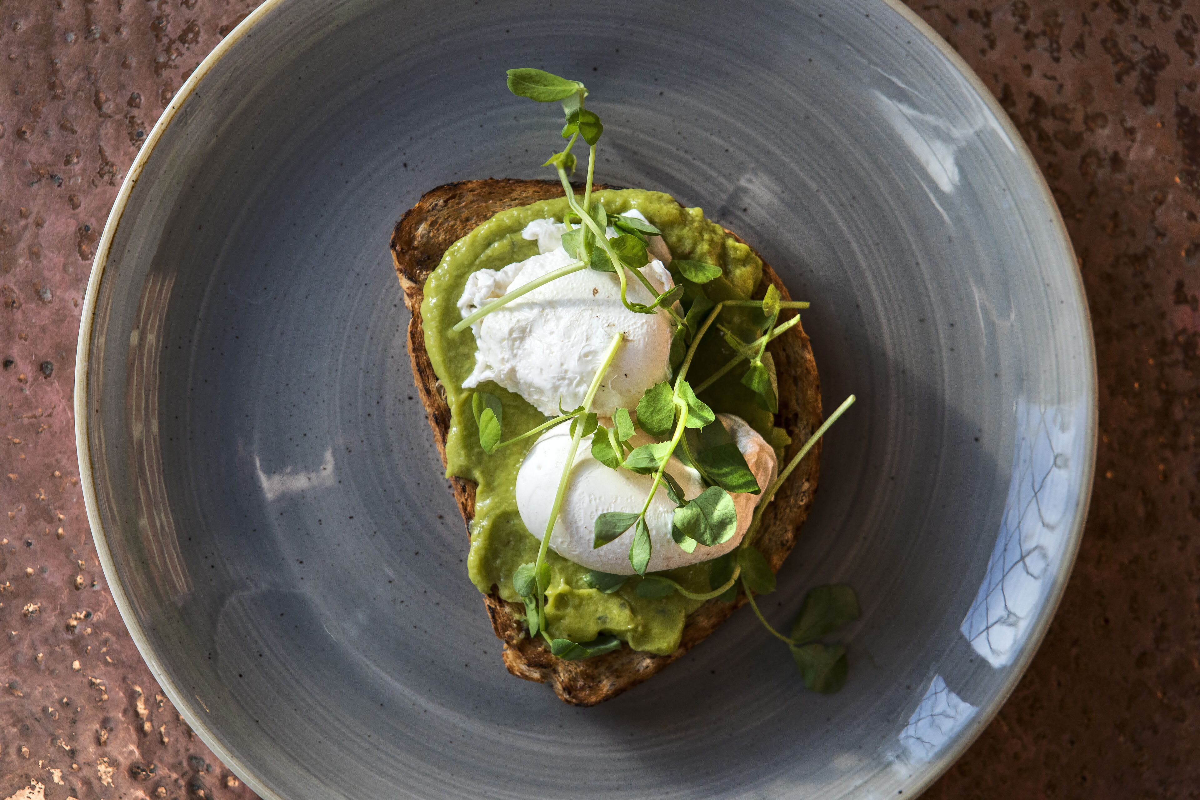 A plate with a slice of toast topped with avocado, a poached egg, and microgreens.