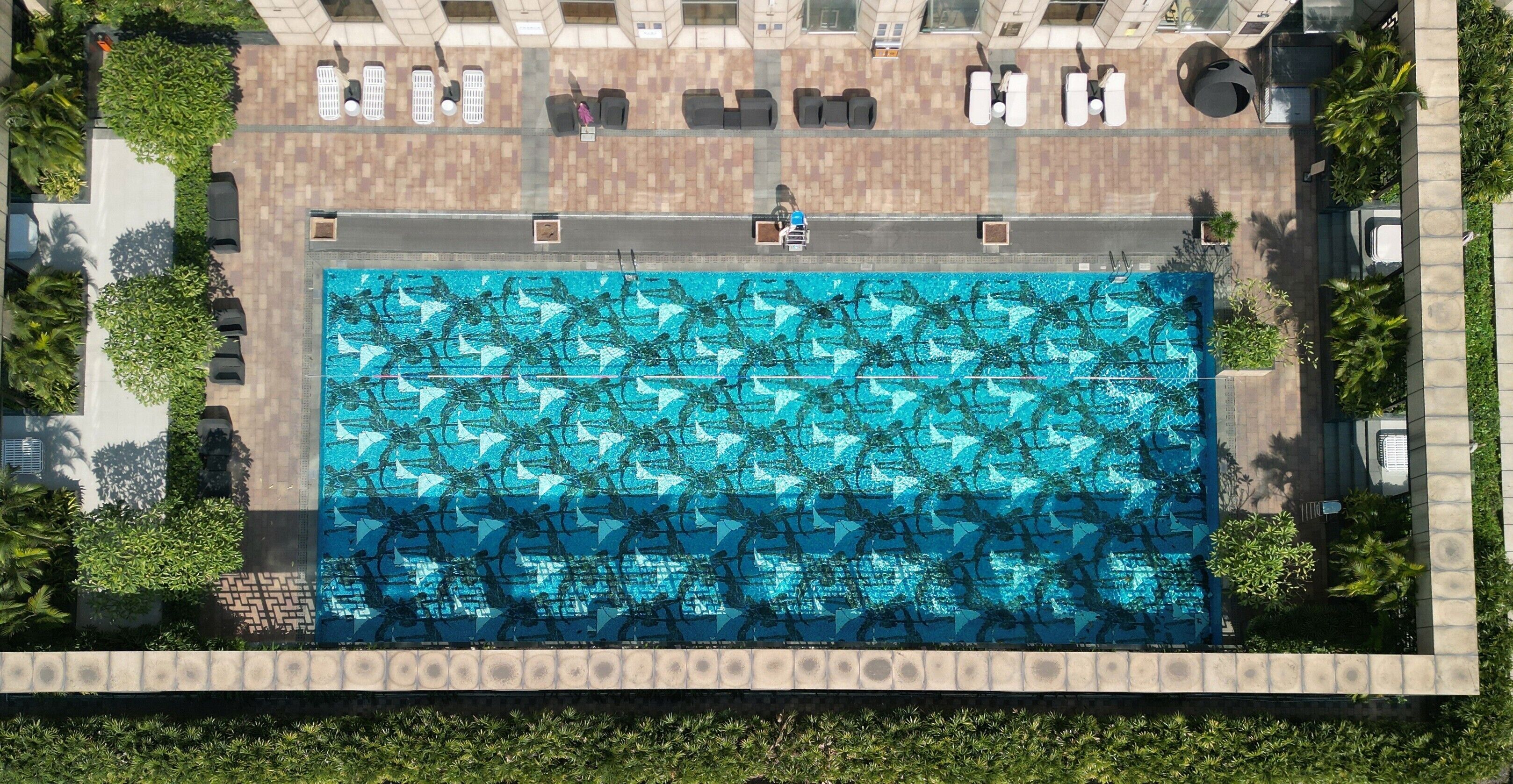 Alberca al aire libre 