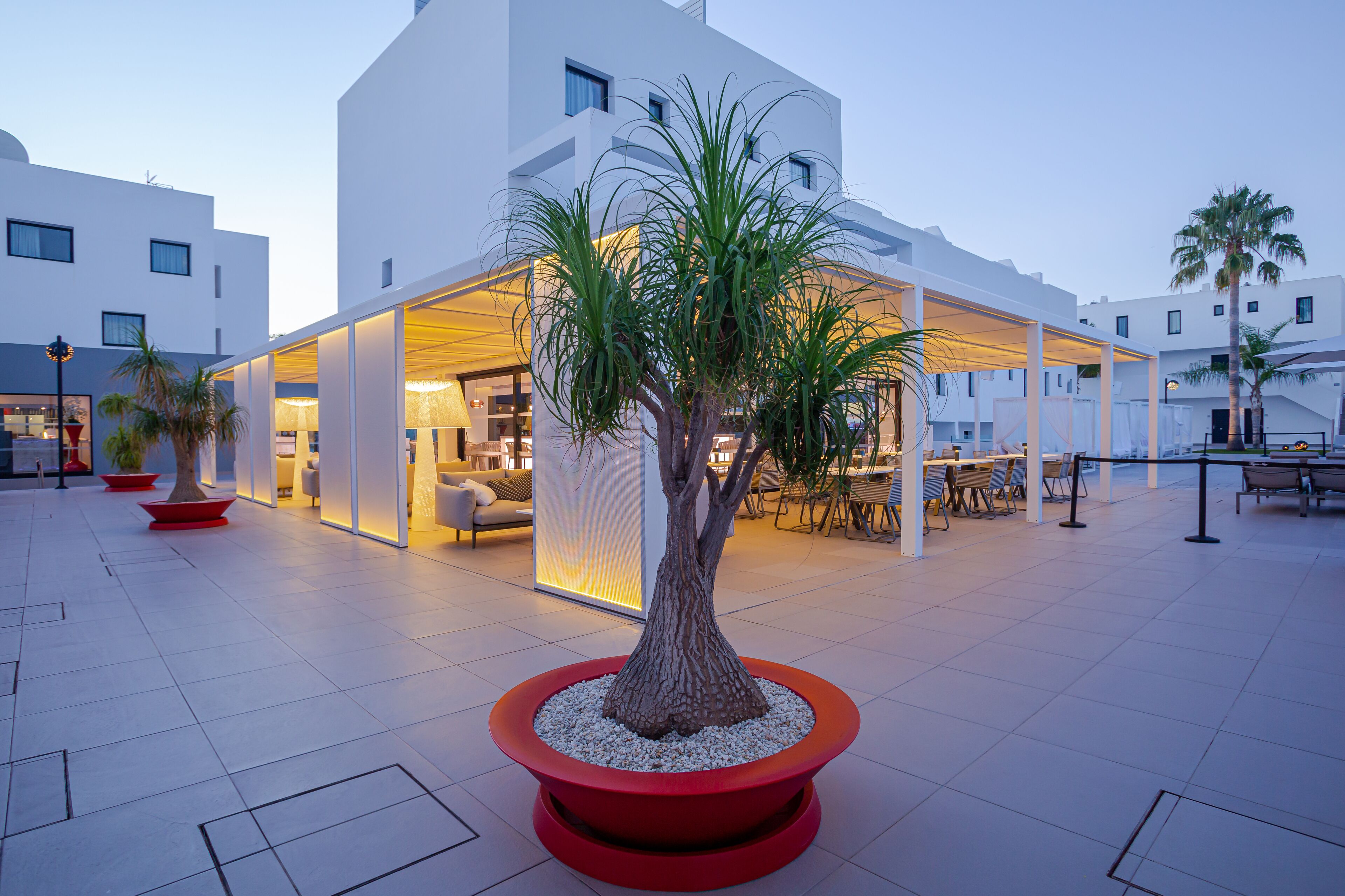 Un bâtiment moderne doté d’un espace extérieur aménagé avec une terrasse couverte, d’un grand arbre planté dans un pot rouge et d’une façade blanche.