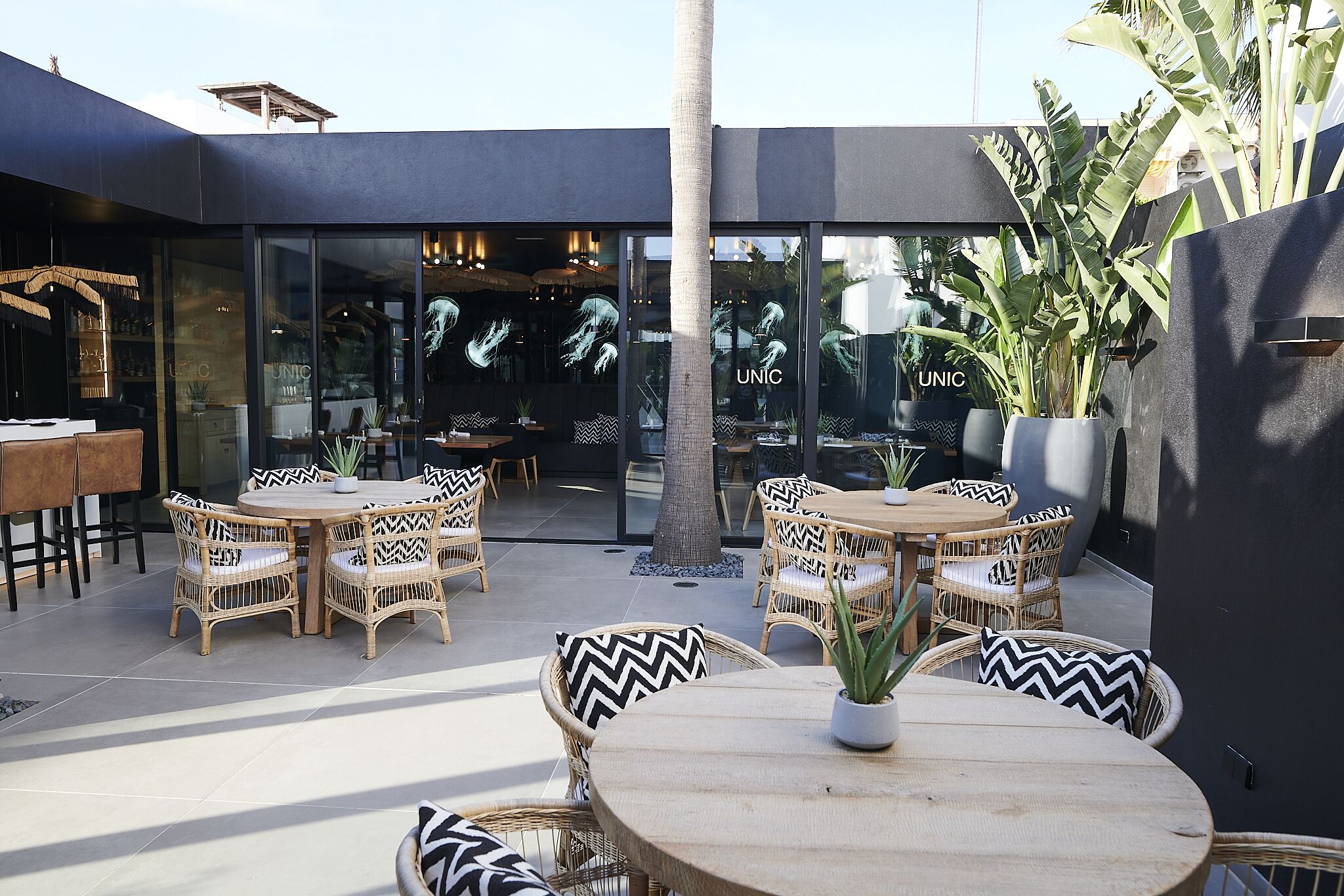 An outdoor seating area with wicker furniture and a central table, surrounded by potted plants.