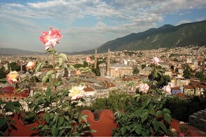 A cityscape with a prominent mosque and mountains in the background. - Kitapevi Special Class Hotel (Bursa)