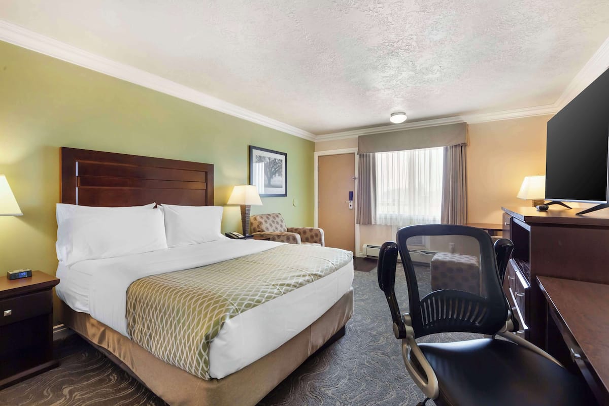 Standard Room, 1 Queen Bed, Non Smoking, Refrigerator & Microwave (Pet Friendly)