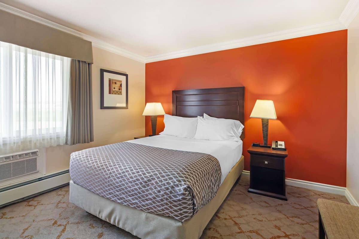 Standard Apartment, 1 Queen Bed, Non Smoking, Kitchen (Pet Friendly;Sofabed, Full Kitchen)