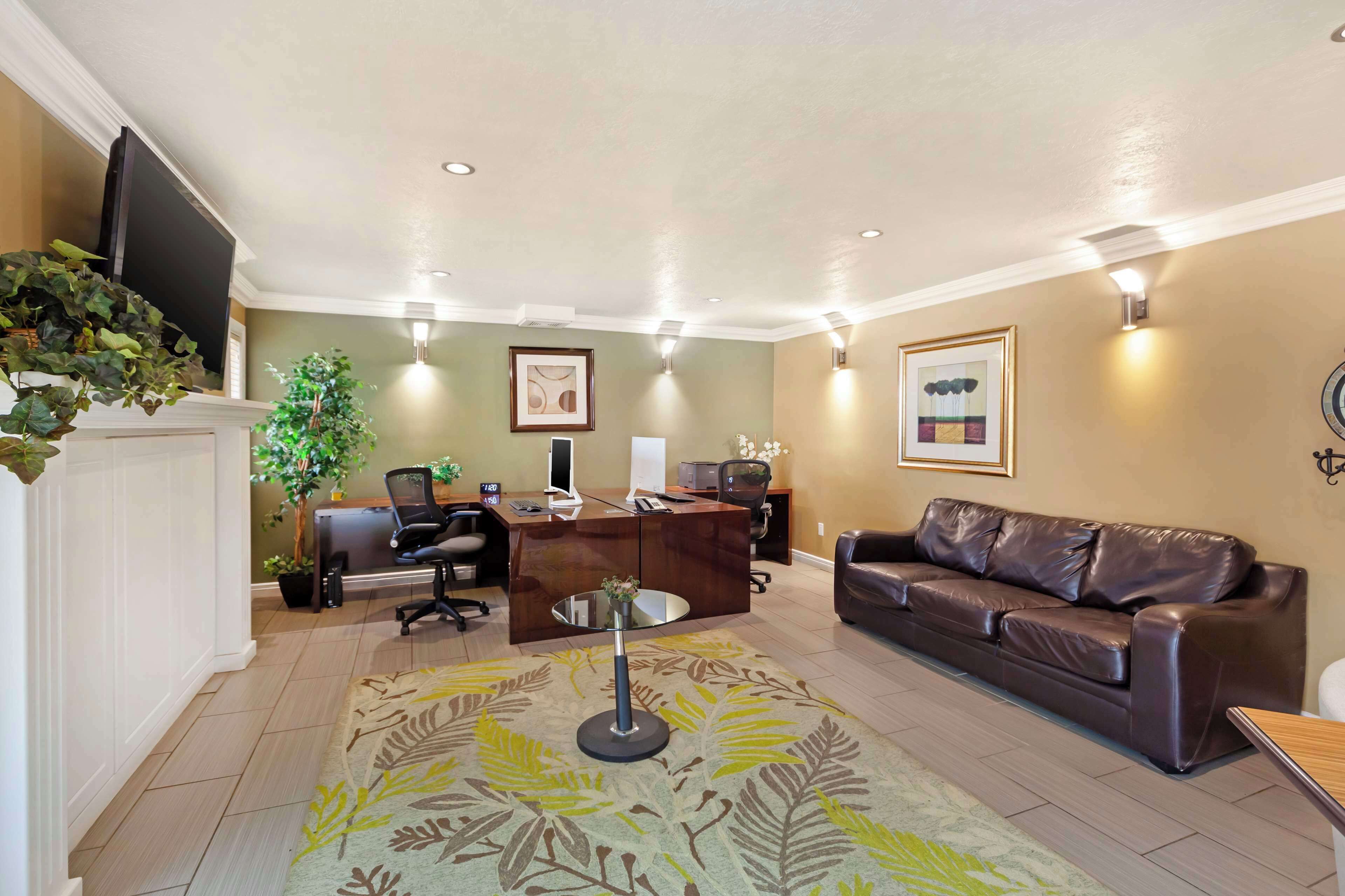 A modern office with a desk, leather sofa, and a decorative rug.