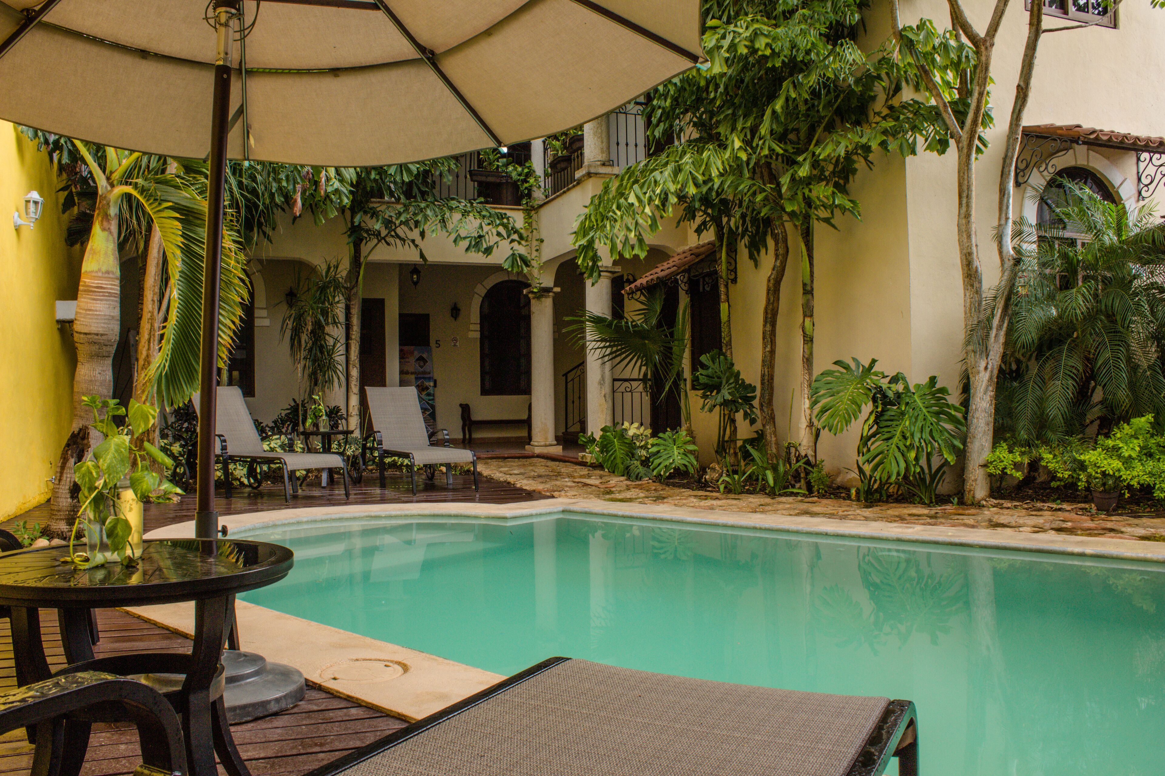 outdoor pool, open 9 am to 9 pm, pool umbrellas, pool loungers