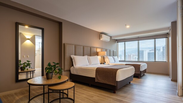 A modern hotel room with a large bed, a small table, a potted plant, and a city view through the window.
