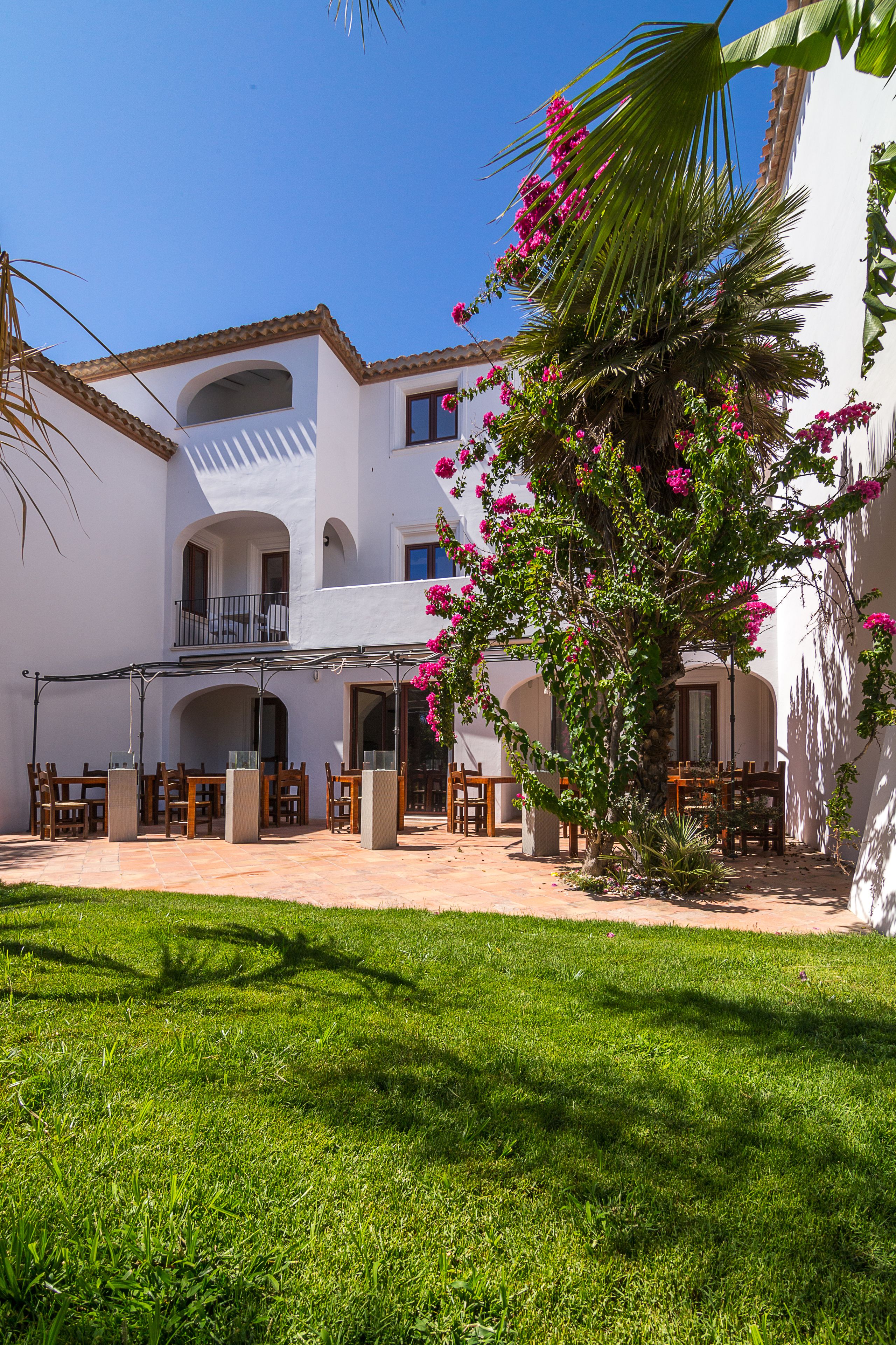 A courtyard with a white building, outdoor seating, and a palm tree with pink flowers.