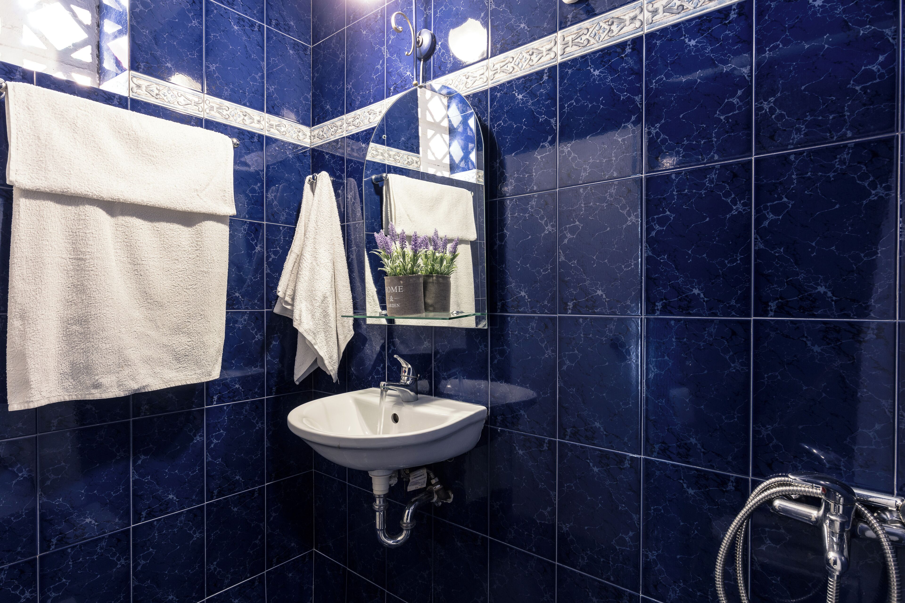 Une salle de bain avec des carreaux bleu foncé, un lavabo blanc, une étagère en verre ornée d’une plante en pot et un espace douche.
