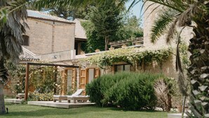 Um pátio com pérgola, mobiliário para área externa e vegetação exuberante.