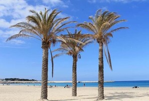 Plage privée, chaises longues, parasols
