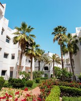 Vista al jardín