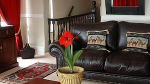 A living room with a dark leather sofa, a red flower in a decorative pot, and a patterned rug.