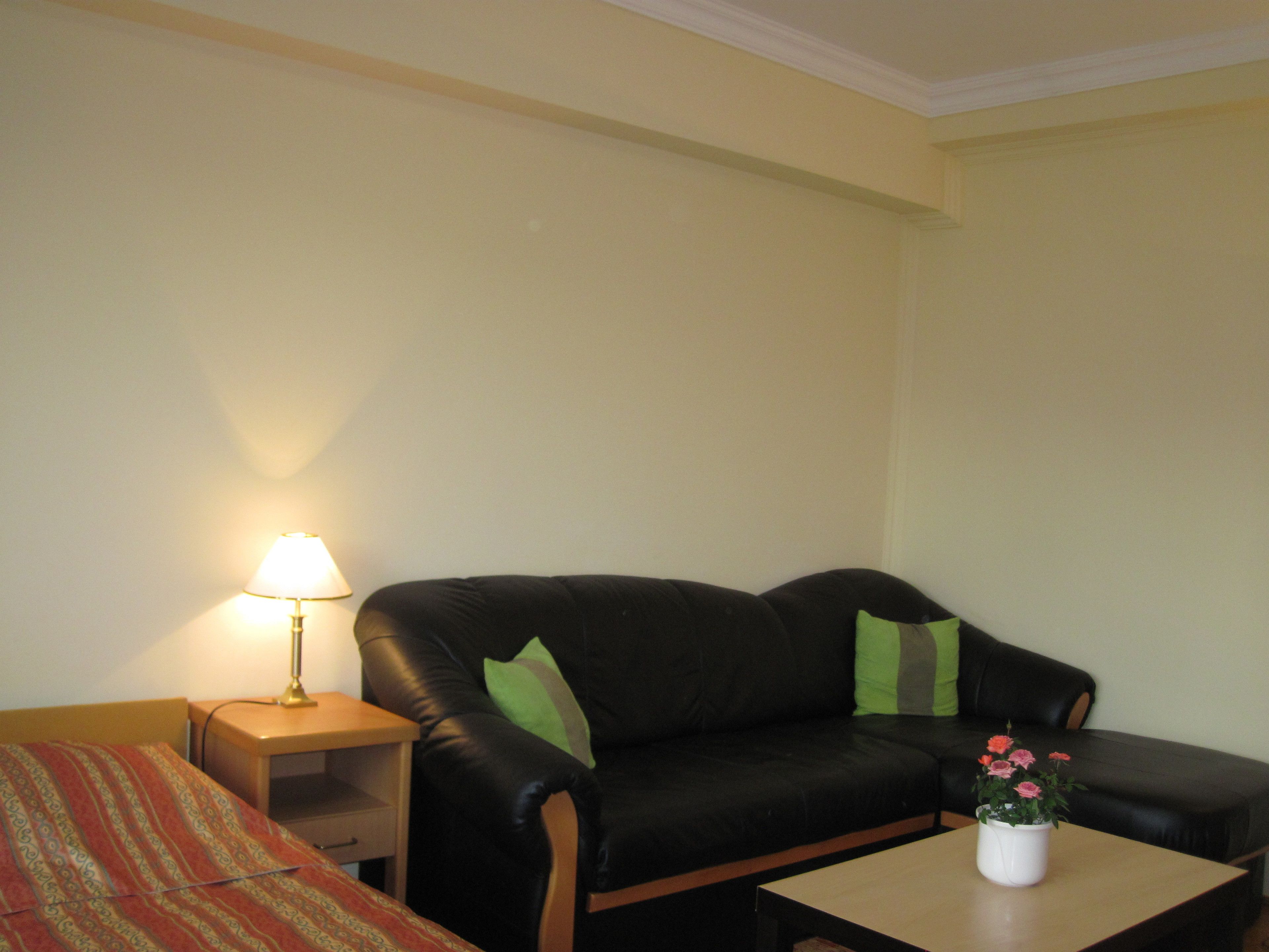 apartment for 3 people with kitchen | room amenity