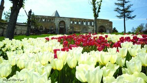 A field of tulips in front of a historic building with arched windows and a pointed roof. - Dundar Hotel (Konya)