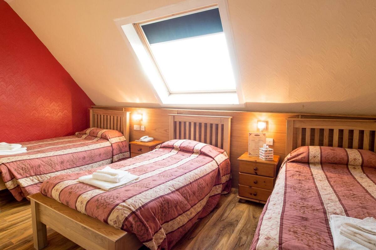 A cozy attic bedroom with two beds, wooden headboards, and a skylight.