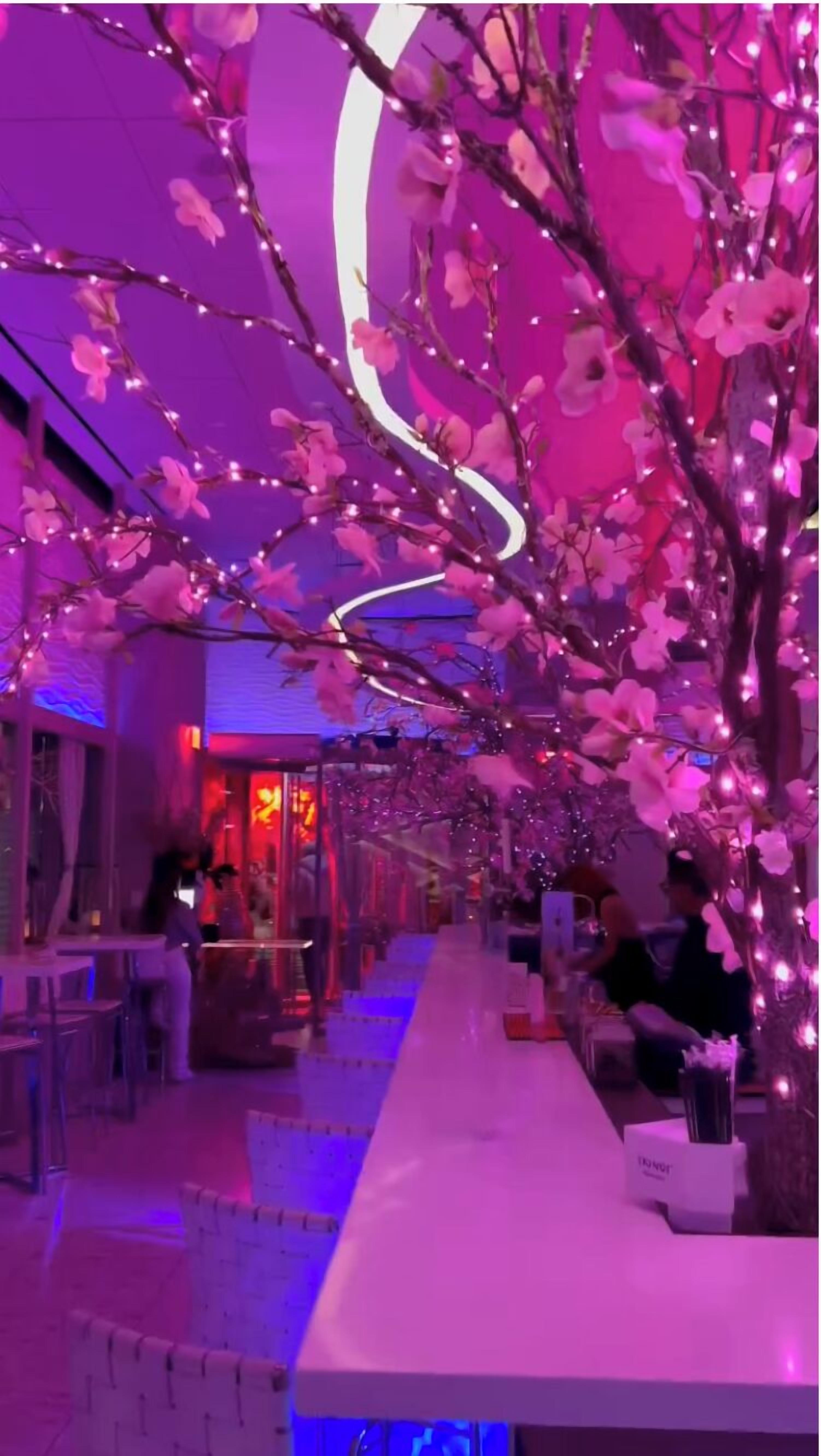 lunch, dinner and brunch served