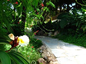 Jardín