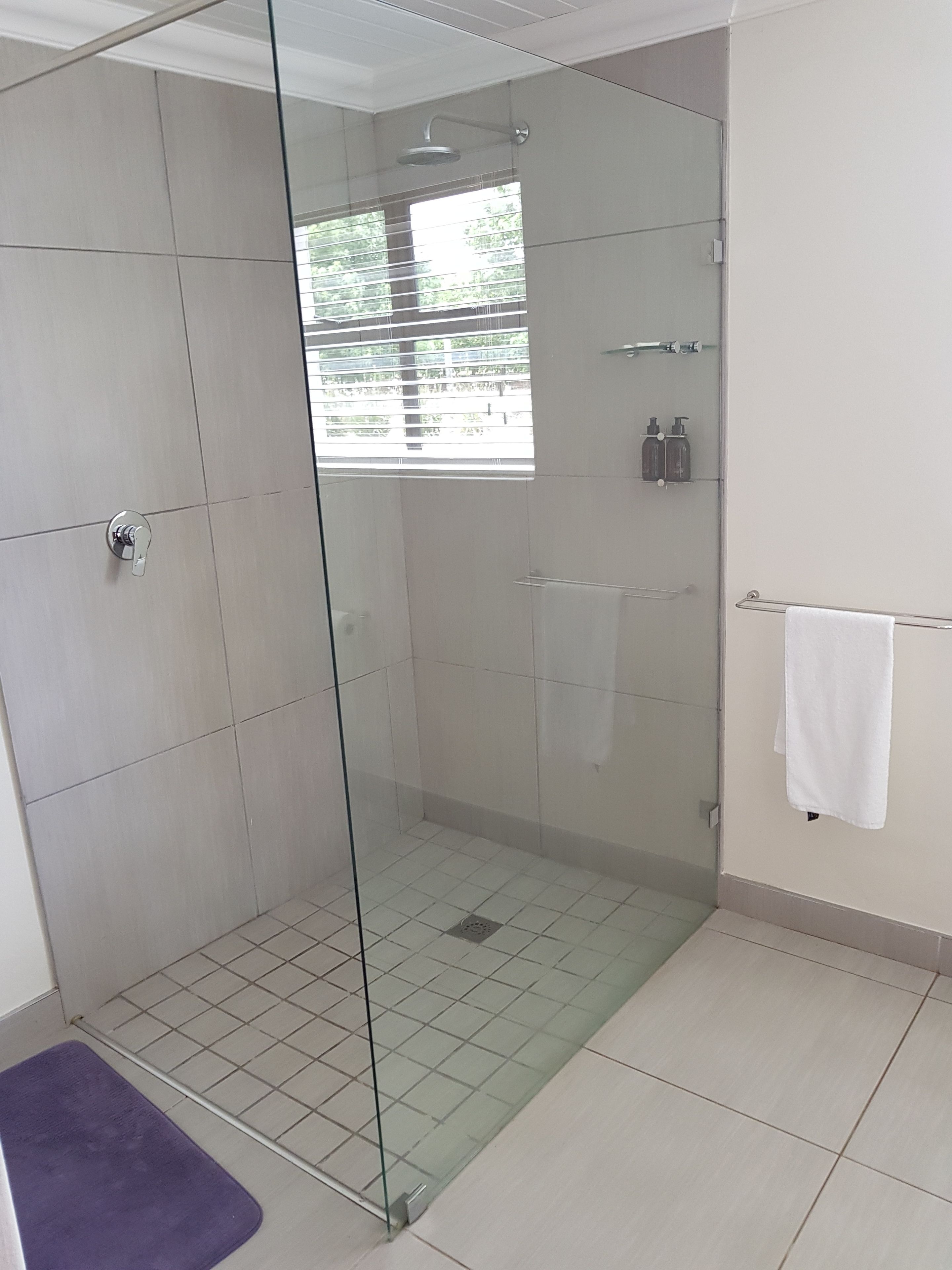 Une salle de bain moderne avec une douche à parois de verre, une fenêtre visible et un porte-serviettes.