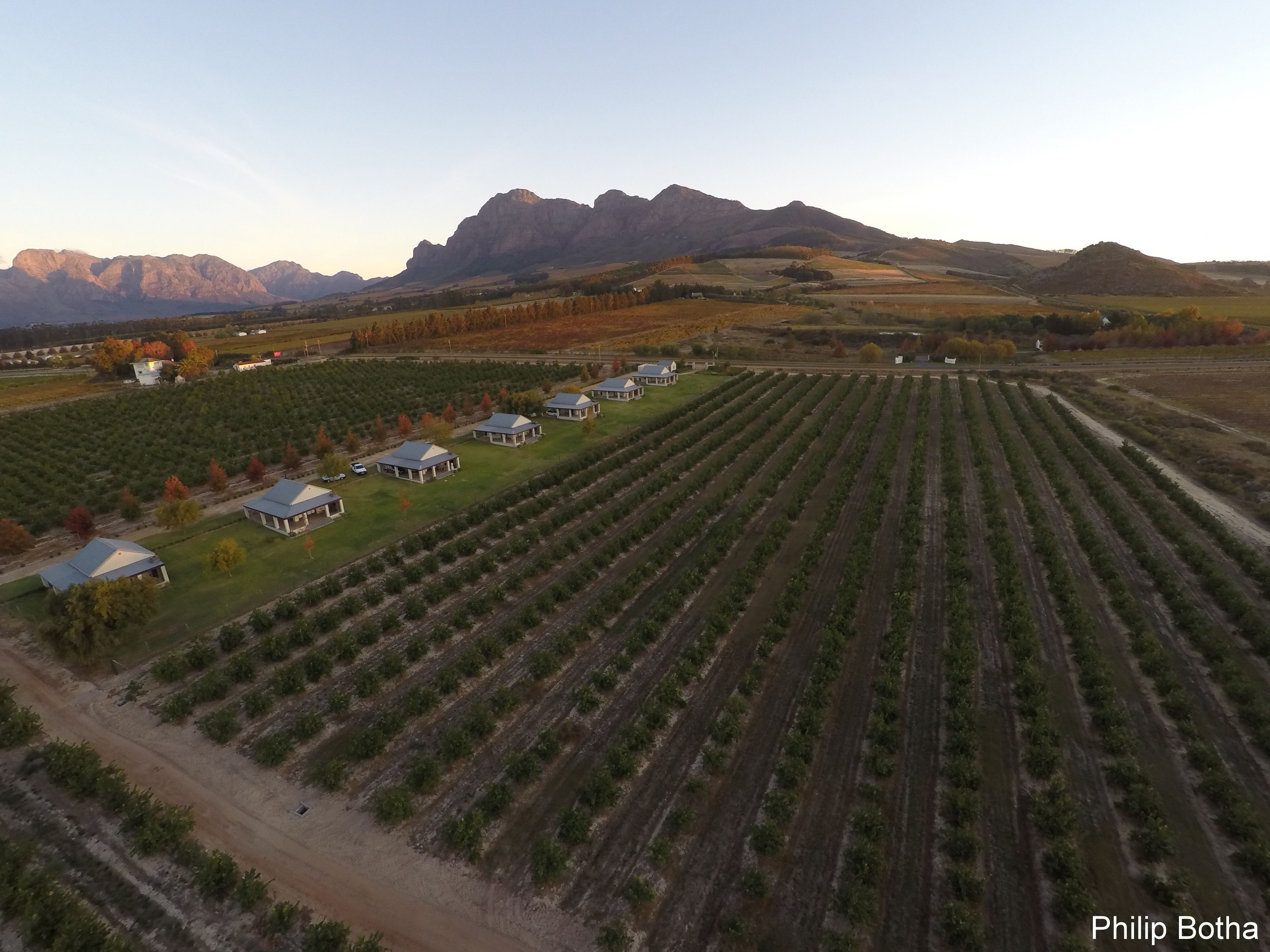 An aerial view of a vineyard with rows of grapevines and several buildings with blue roofs.