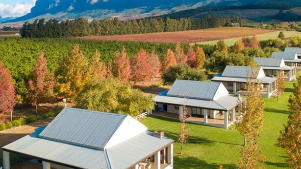 Una hilera de cabañas modernas de un solo piso con techos metálicos, ubicadas en un paisaje exuberante con follaje otoñal y una montaña al fondo.