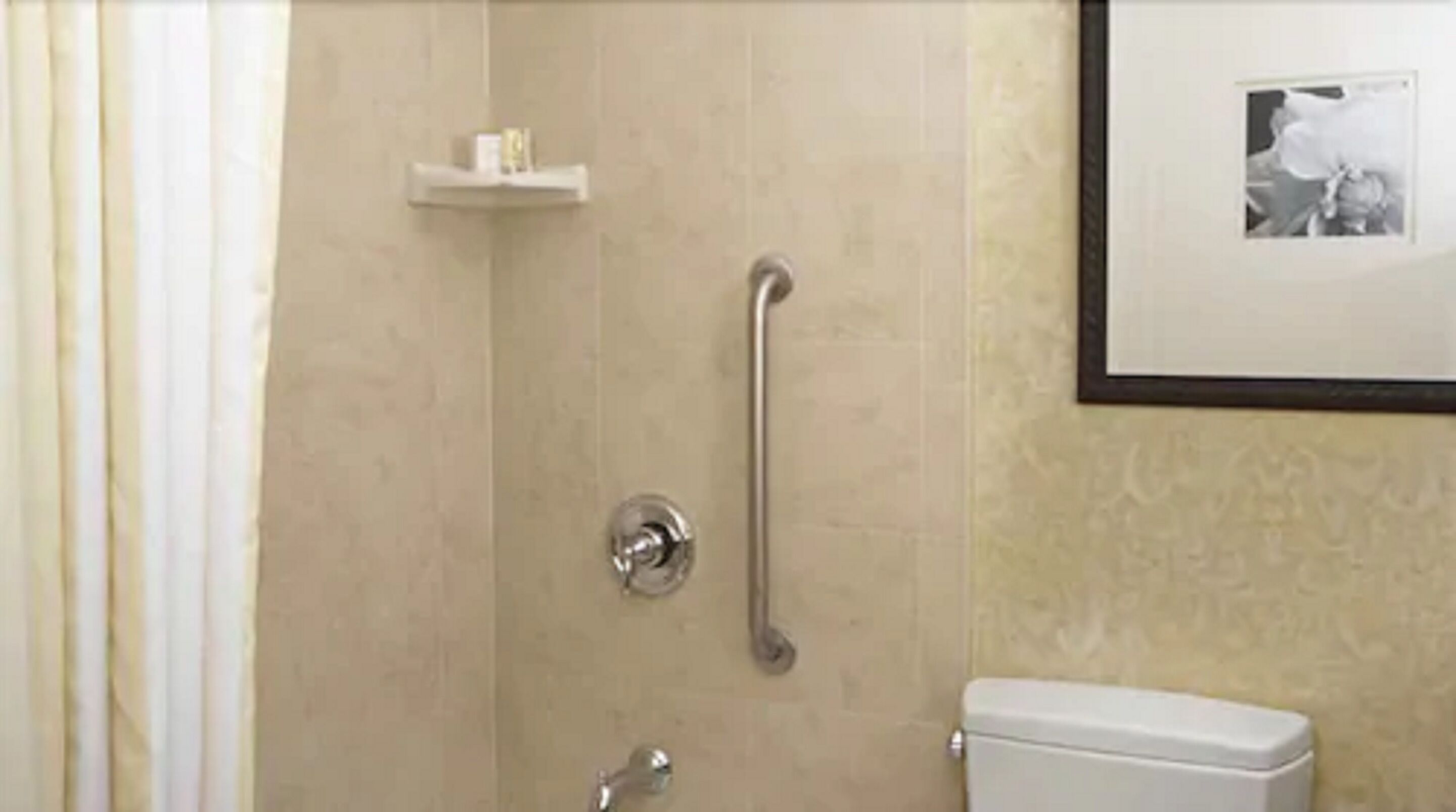 A bathroom with a shower, grab bar, toilet, and a framed picture on the wall.