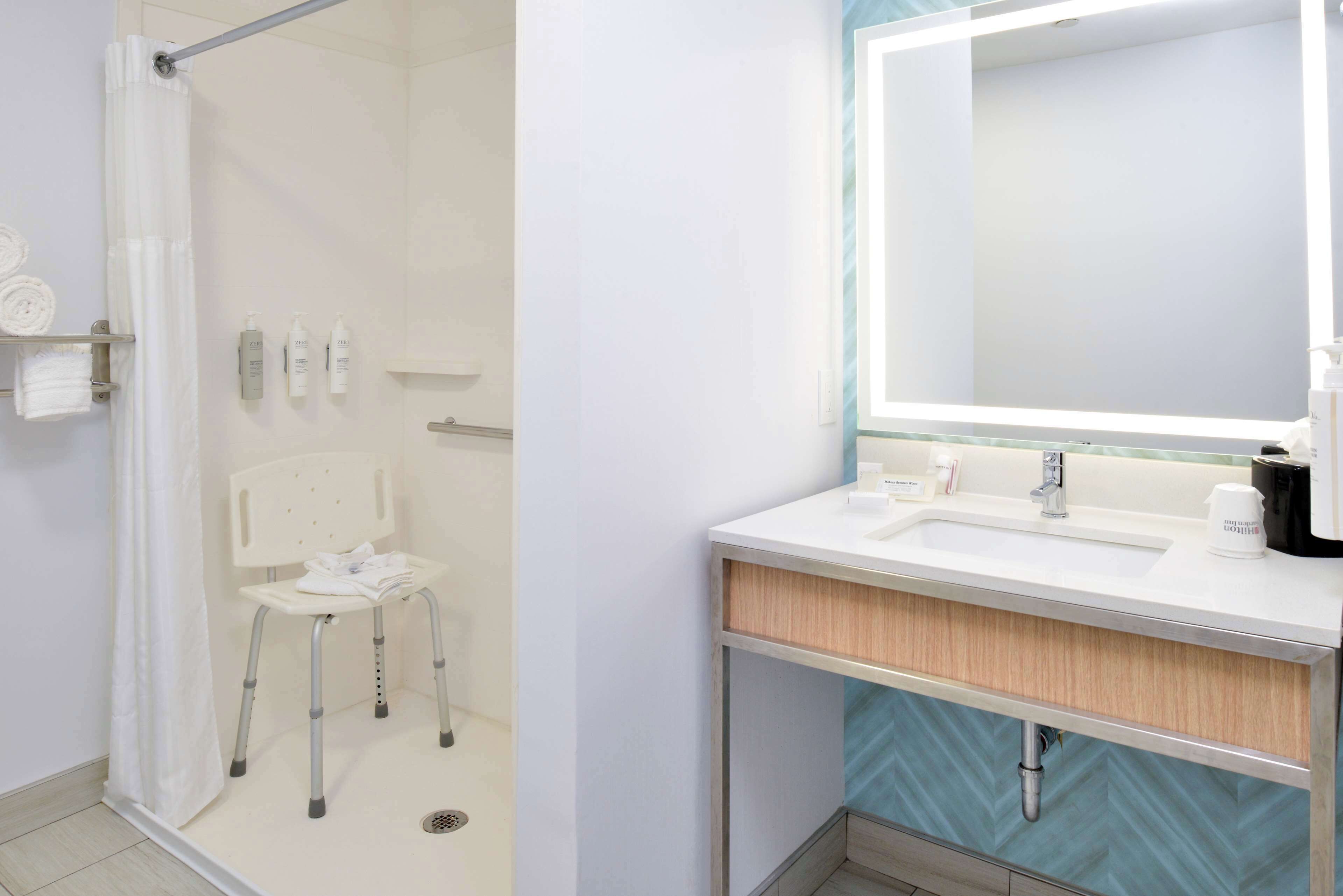 standard room, 1 king bed, accessible (mobility & hearing, roll-in shower) | bathroom shower