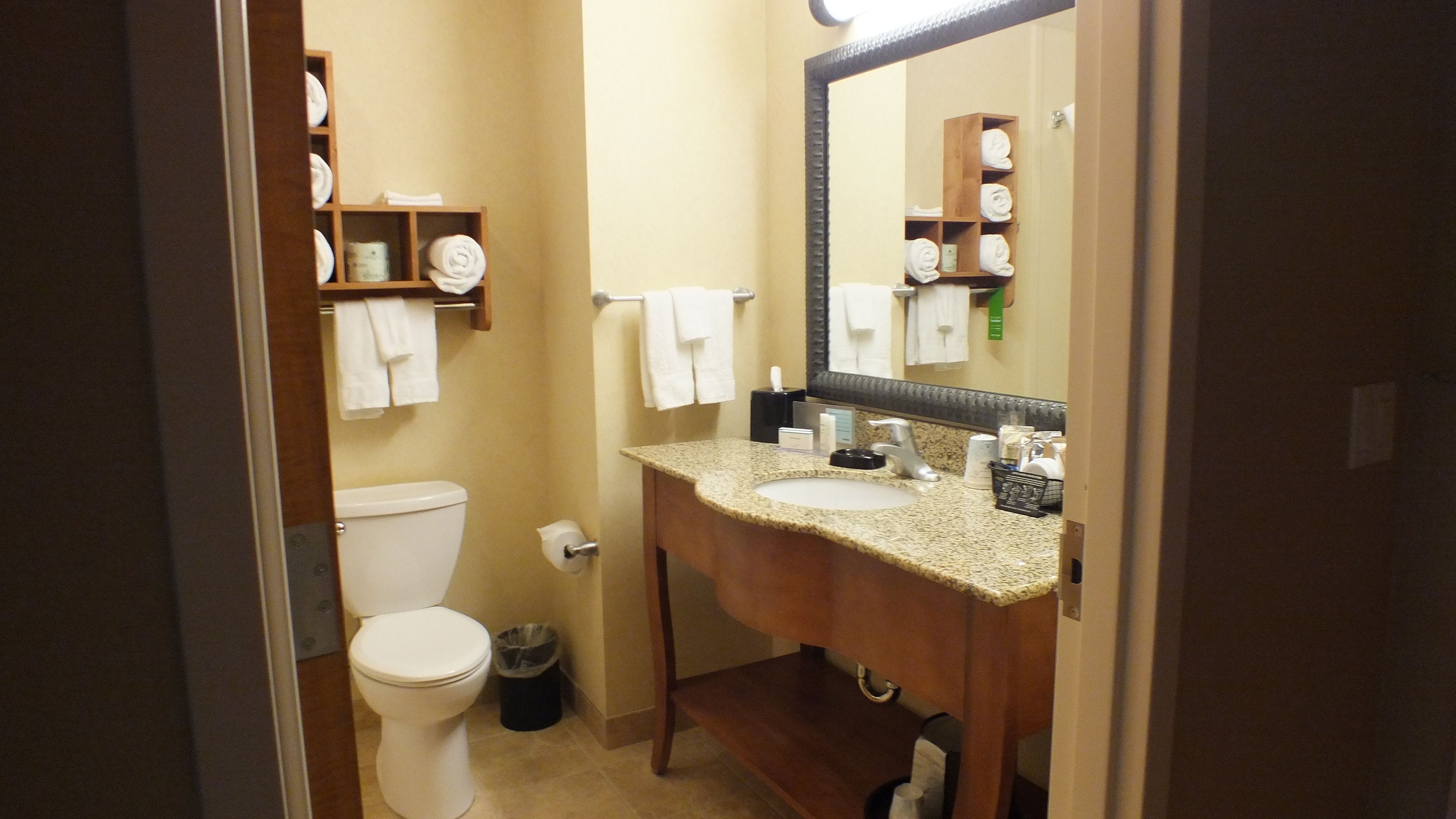 combined shower/bathtub, free toiletries, hair dryer, towels