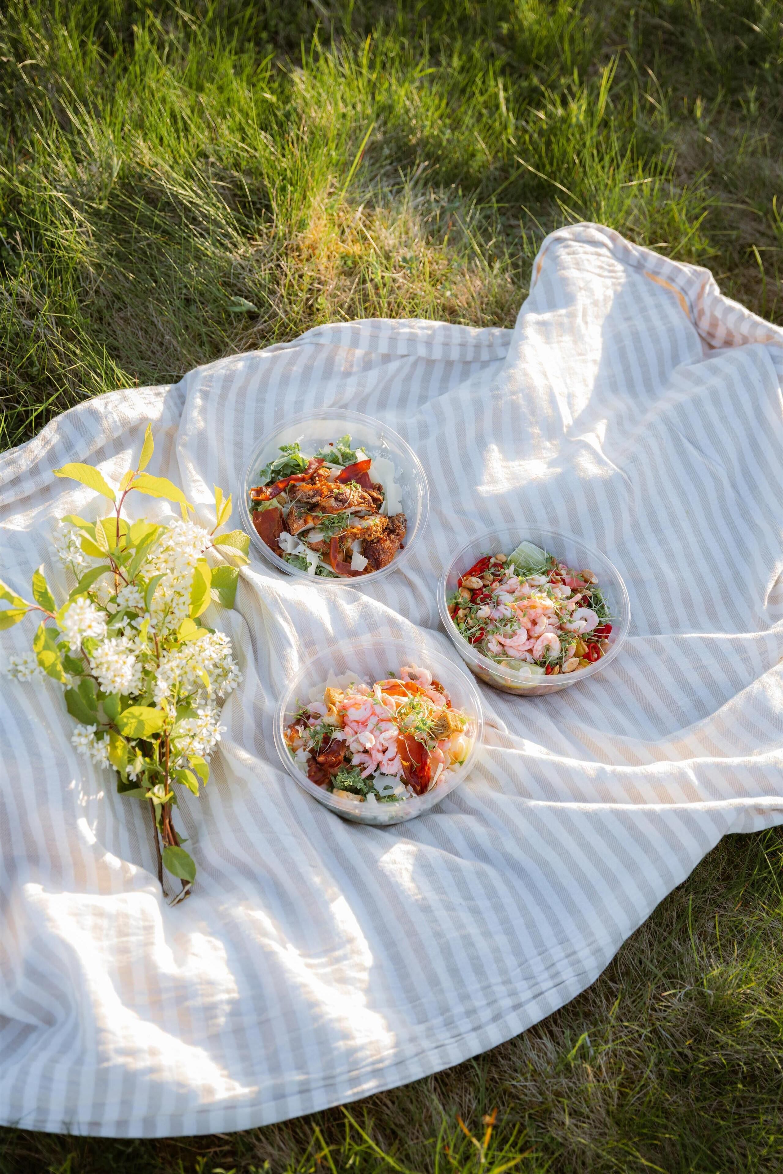 A picnic setup with three bowls of food on a striped blanket in a grassy area.
