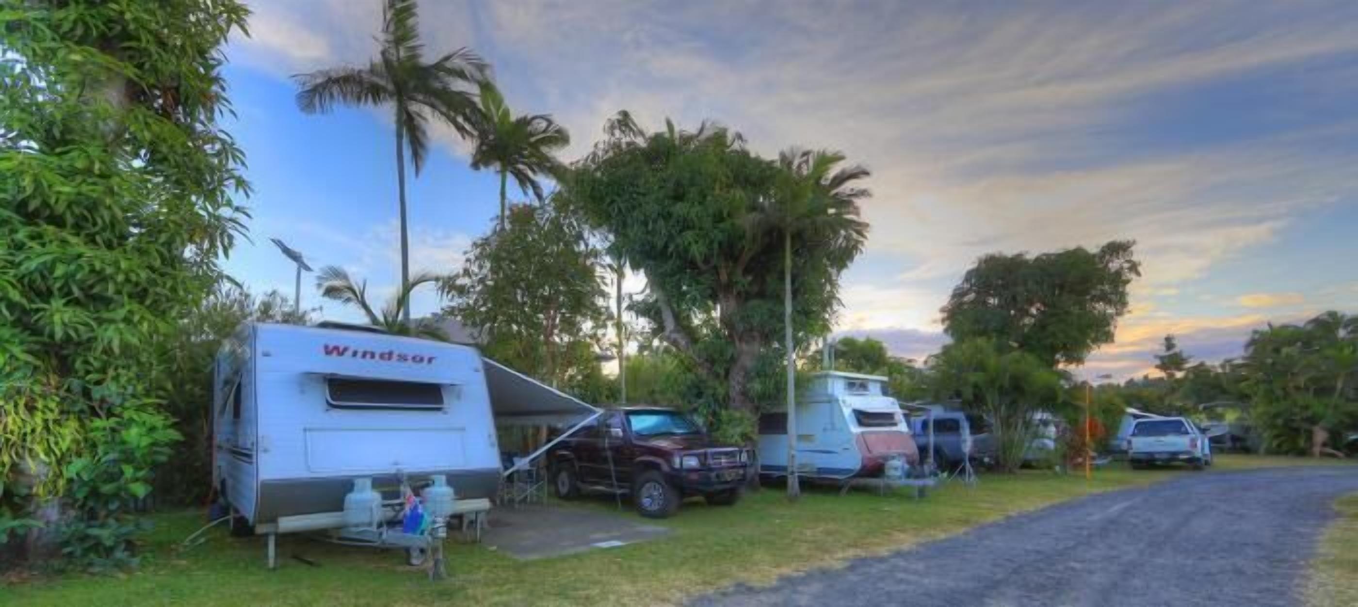 Un camping con vehículos recreativos y automóviles estacionados en un camino de tierra, rodeado de vegetación.