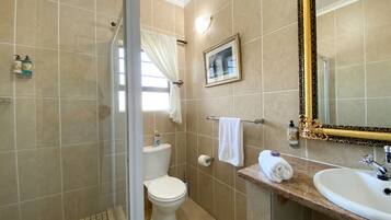 A bathroom with a toilet, shower, sink, and a large mirror.