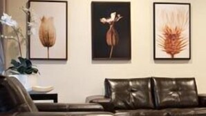 Een moderne woonkamer met leren banken en een bijzettafeltje, ingelijste botanische prints aan de muur, en een potplant.