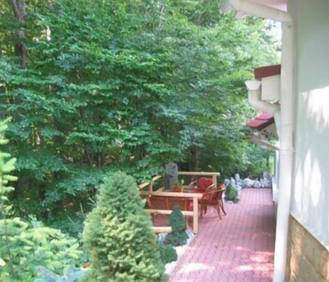 A covered outdoor seating area with a table and chairs, surrounded by dense greenery.