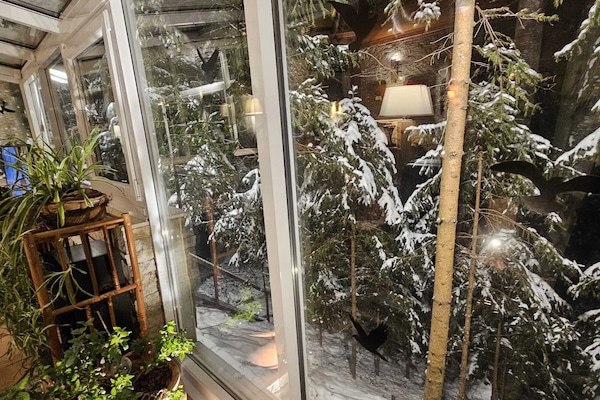 Villa Elena | Garden view