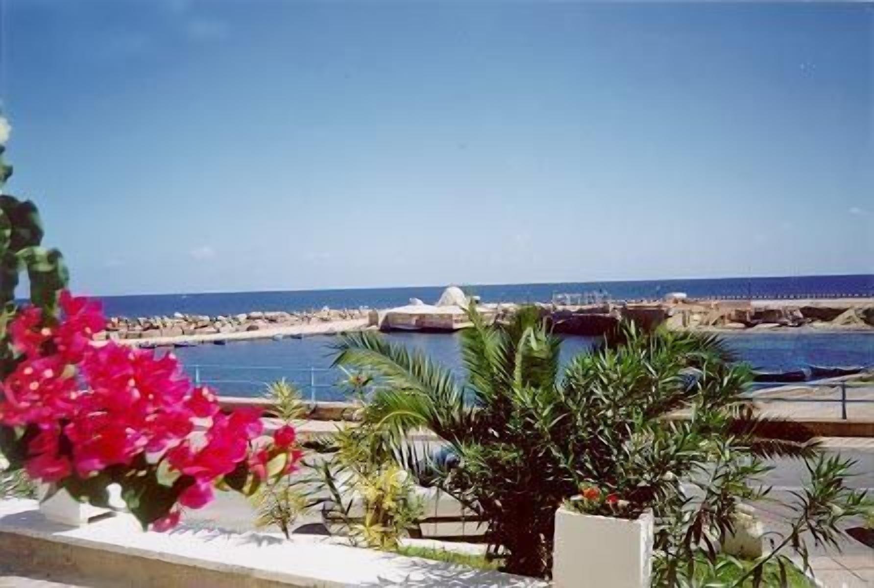 A coastal view with a clear sky, a marina, and a bridge.