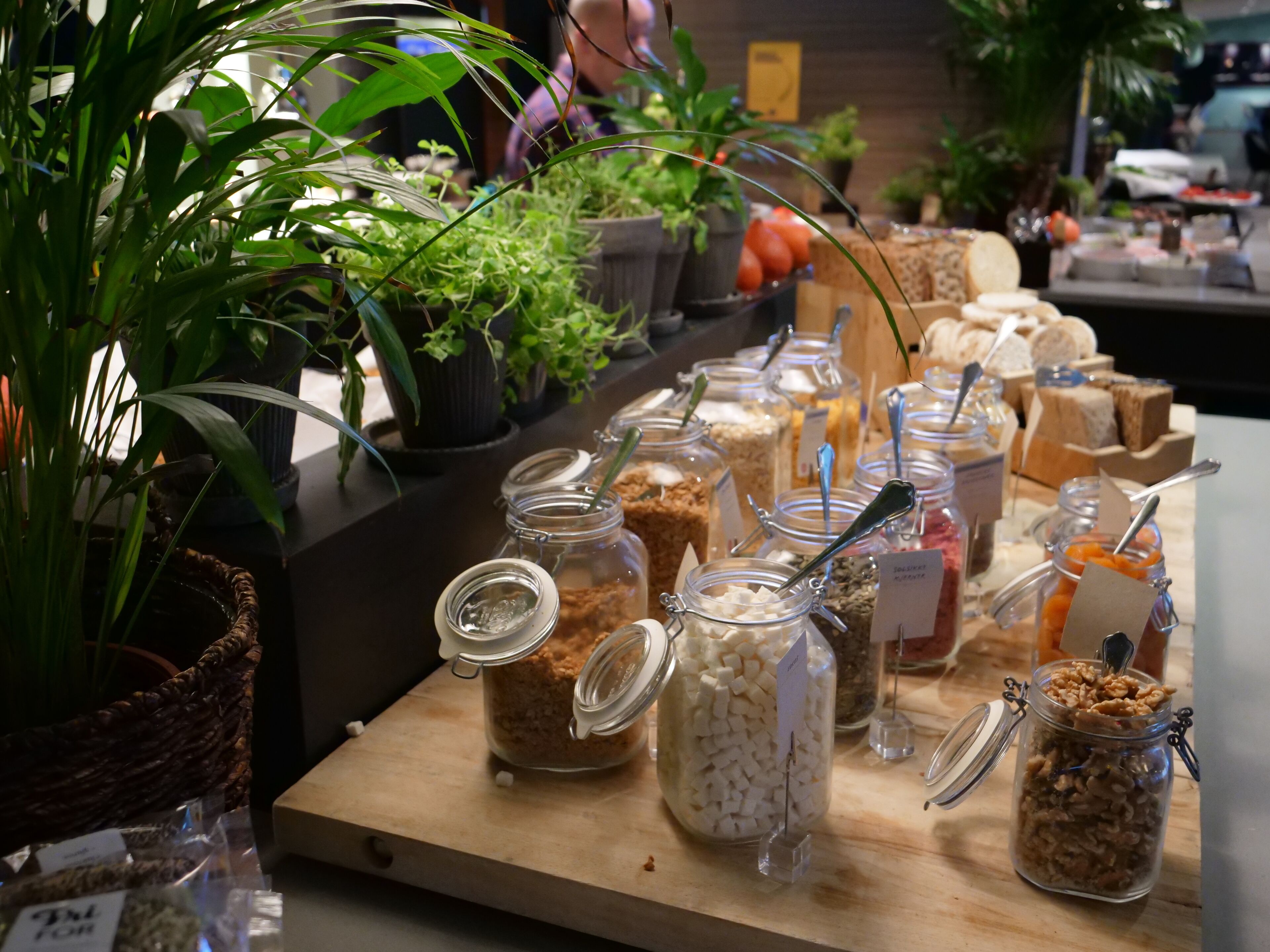 free daily continental breakfast