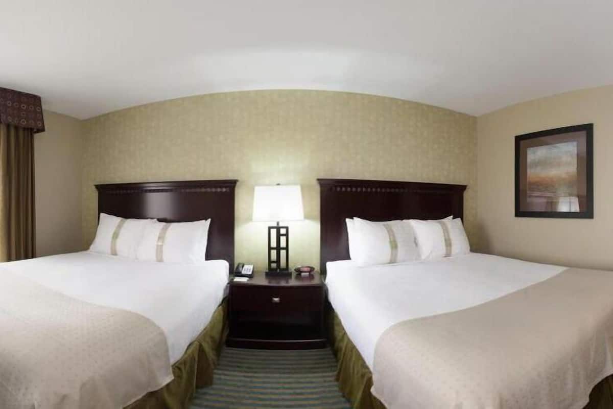 premium bedding, pillow-top beds, desk, blackout curtains