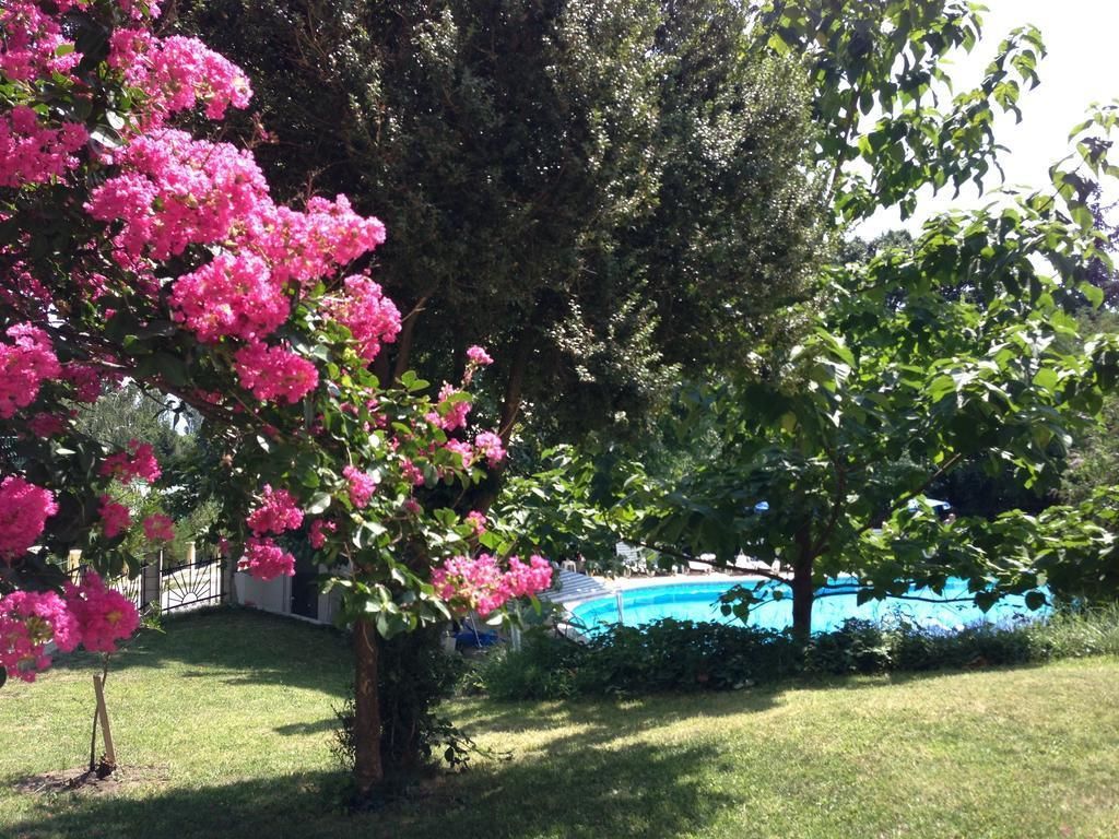 Ein Swimmingpool, umgeben von üppiger Vegetation und blühenden Bäumen.