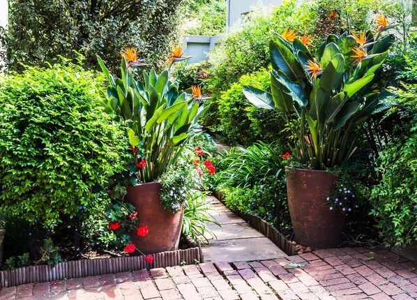 Pet-friendly - Liz at Lancaster Guesthouse (Randburg)