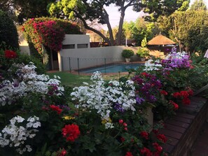 Building design - Liz at Lancaster Guesthouse (Randburg)